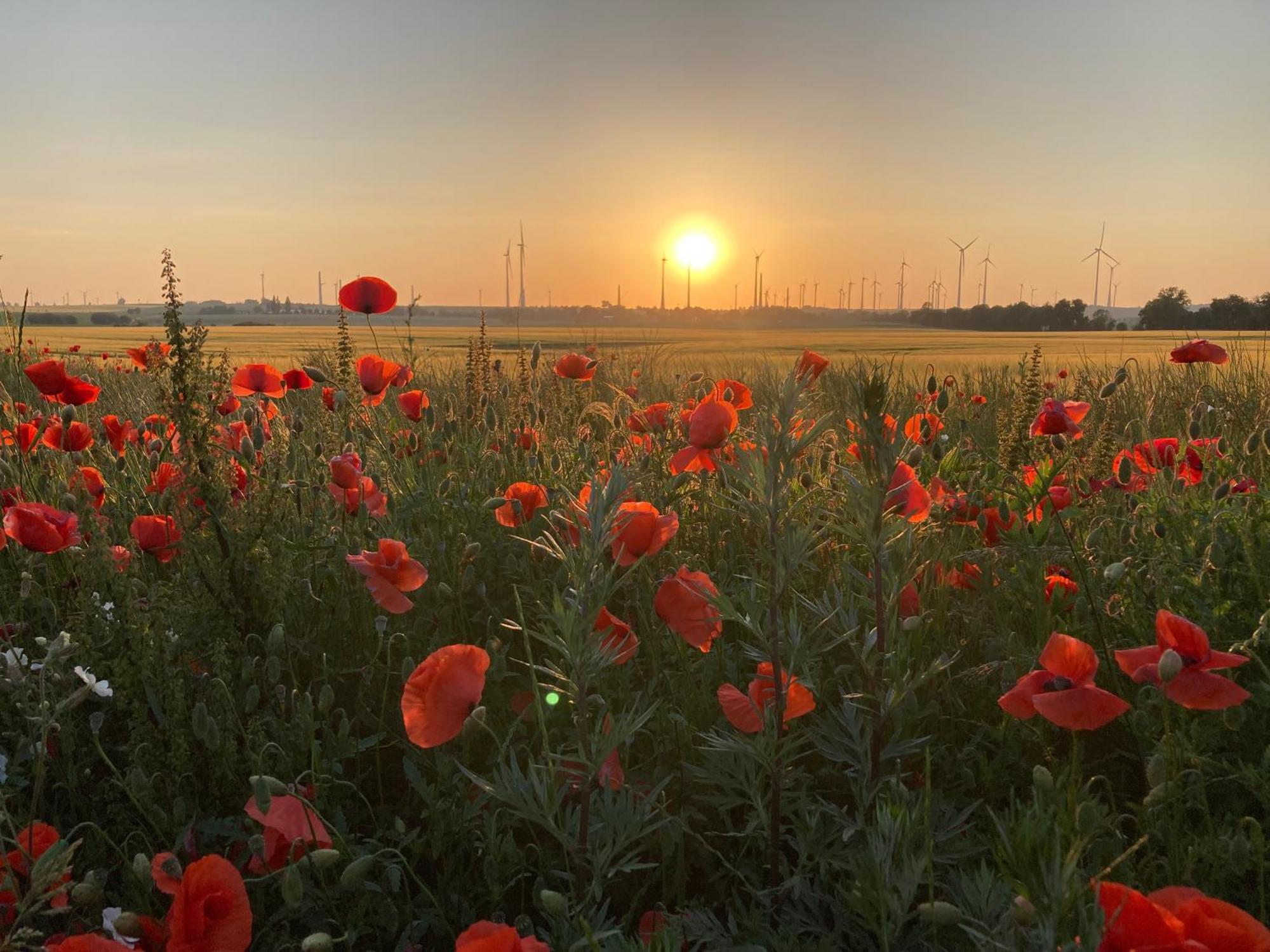 Ferienwohnungen In Der Alten Schnitterkaserne Prenzlau Exteriér fotografie