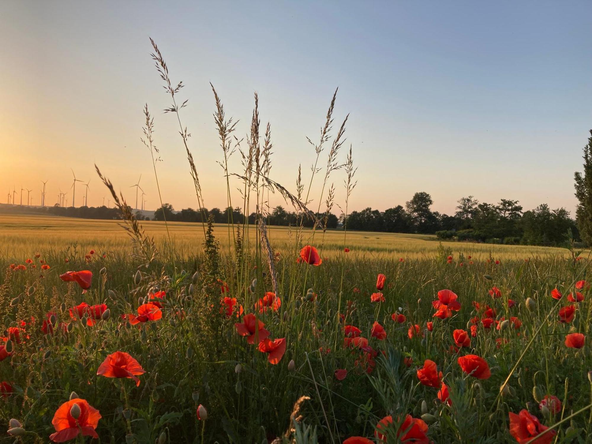 Ferienwohnungen In Der Alten Schnitterkaserne Prenzlau Exteriér fotografie